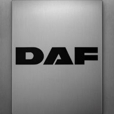 DAF Bull bars